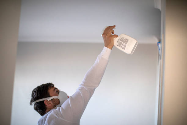 Trusted Willamina, OR Mold Remediation Experts